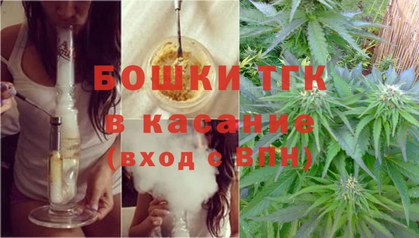 твердый Алексин