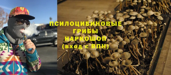 спиды Алексеевка
