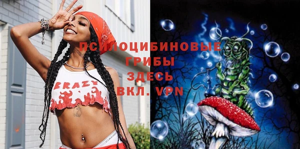 твердый Алексин