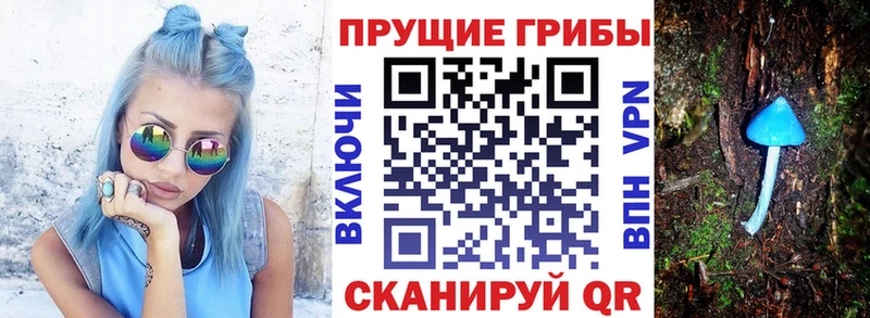 Псилоцибиновые грибы мицелий  Тара 